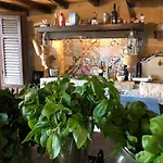 Salinara
