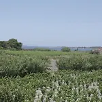 بيت للعطل Salinara *