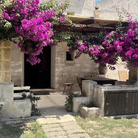 Salinara مارسالا