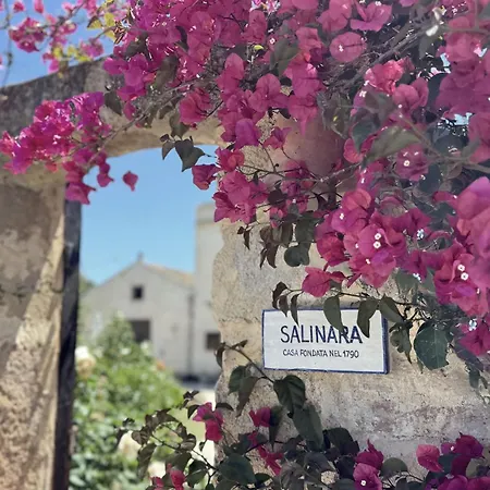 Salinara بيت للعطل مارسالا